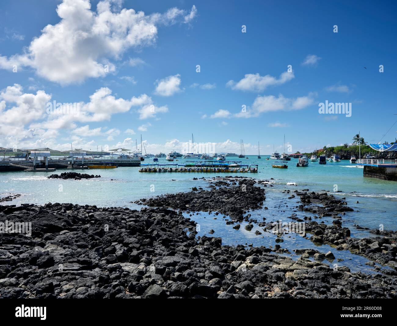 Porto di Santa Cruz, isole Galapagos Foto Stock