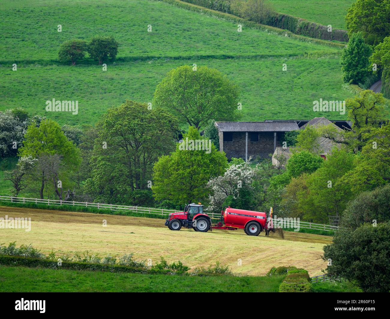 Coltivatore che lavora trattore di guida e serbatoio di fertilizzante cilindrico spruzzando slurry di scarico su campagna terreno agricolo pascolo erba - Yorkshire, Inghilterra UK Foto Stock