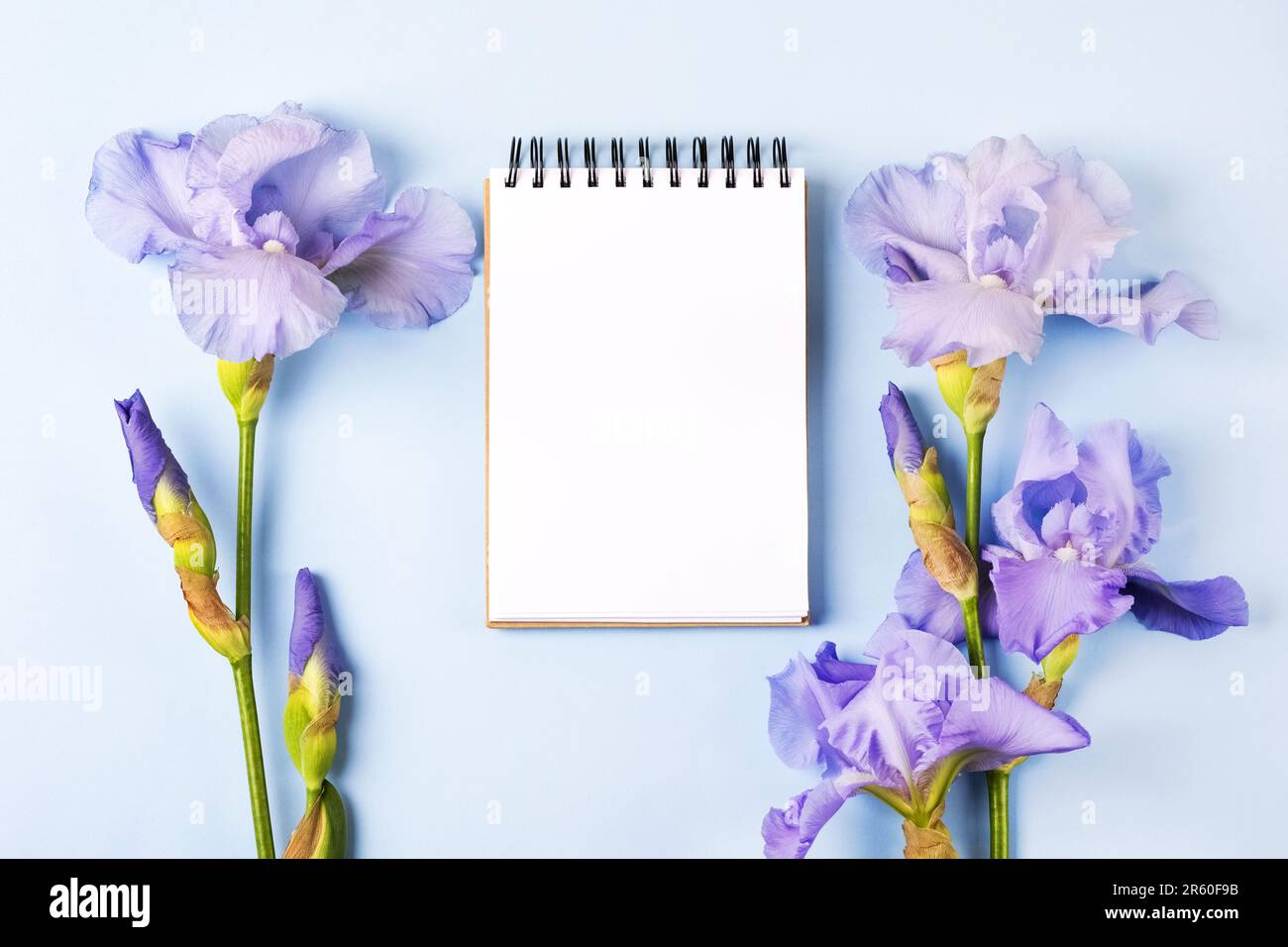 Notebook con pagina pulita con fiori viola iridi su sfondo arancione. Stile piatto. Foto Stock