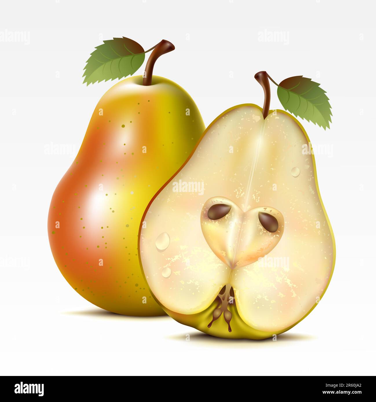 Due pere gialle su sfondo bianco Illustrazione Vettoriale