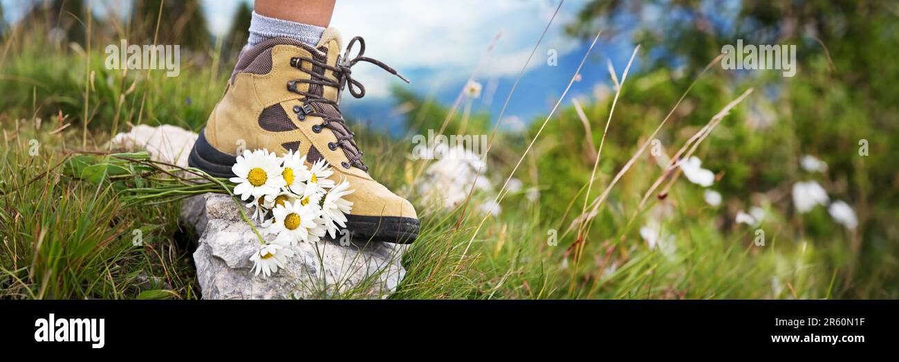 Primo piano di un piede donna in una scarpa da trekking e un mazzo di margherite su un sentiero di montagna Foto Stock