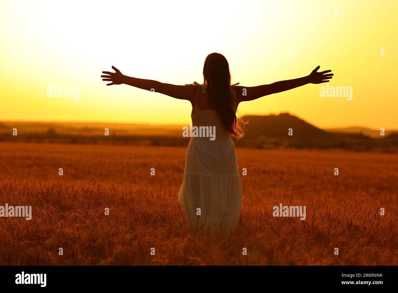 Vista posteriore ritratto di una silhouette donna che celebra le braccia stretching in un campo di grano al tramonto Foto Stock