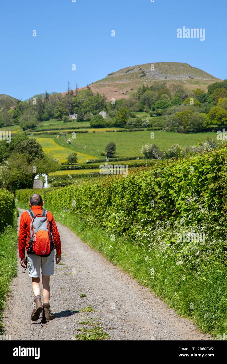 Persone che camminano lungo le strade di campagna nella campagna del Galles del Sud a Crickhowell Powys con una vista del punto di riferimento locale Table Mountain Foto Stock
