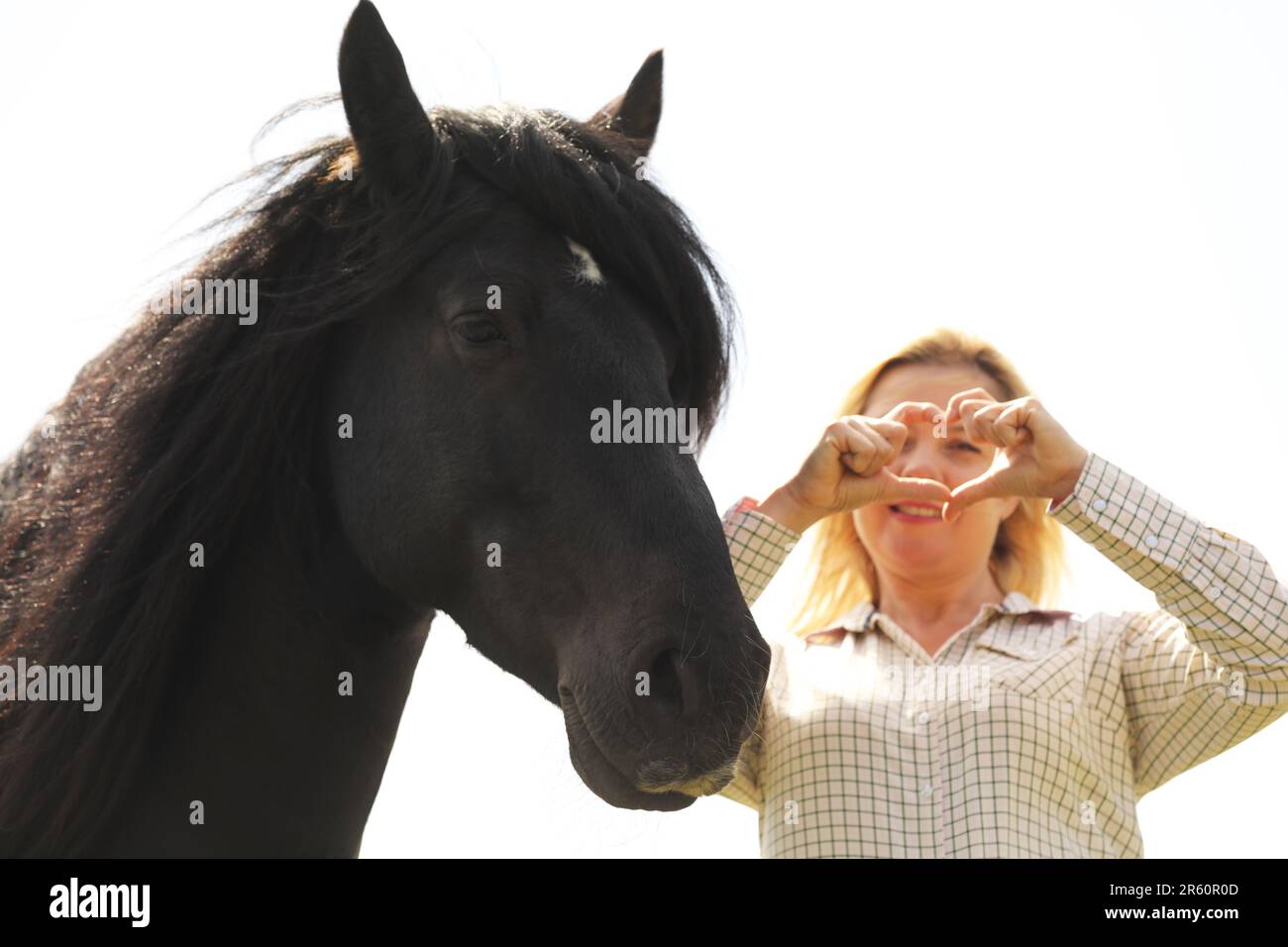 Una donna bionda in piedi accanto ad un cavallo nero che fa una forma di cuore con le sue mani Foto Stock