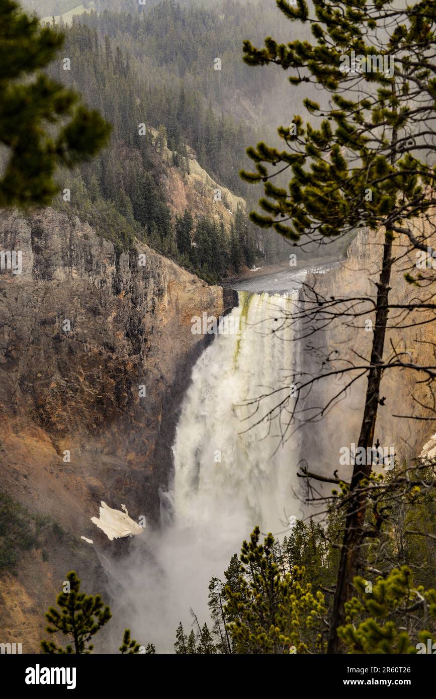 Le Lower Falls del fiume Yellowstone sono le cascate più popolari del parco nazionale di Yellowstone, Wyoming Foto Stock