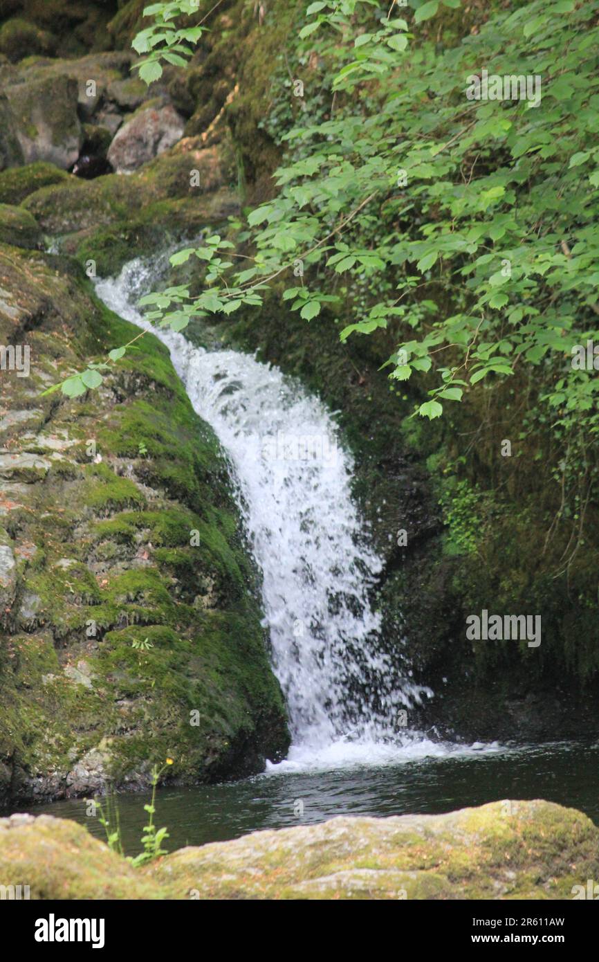 Plas Cadnant, Giardini nascosti Foto Stock