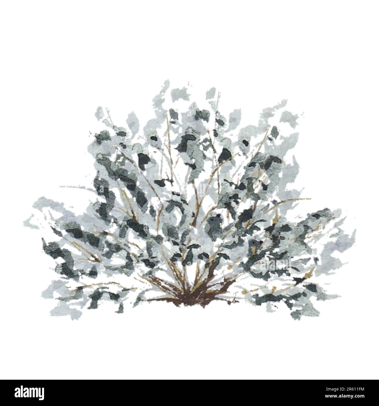 Arbusto verde albero, pennello, cespuglio. Illustrazione con acquerello su sfondo bianco. Disegnato a mano. Foto Stock