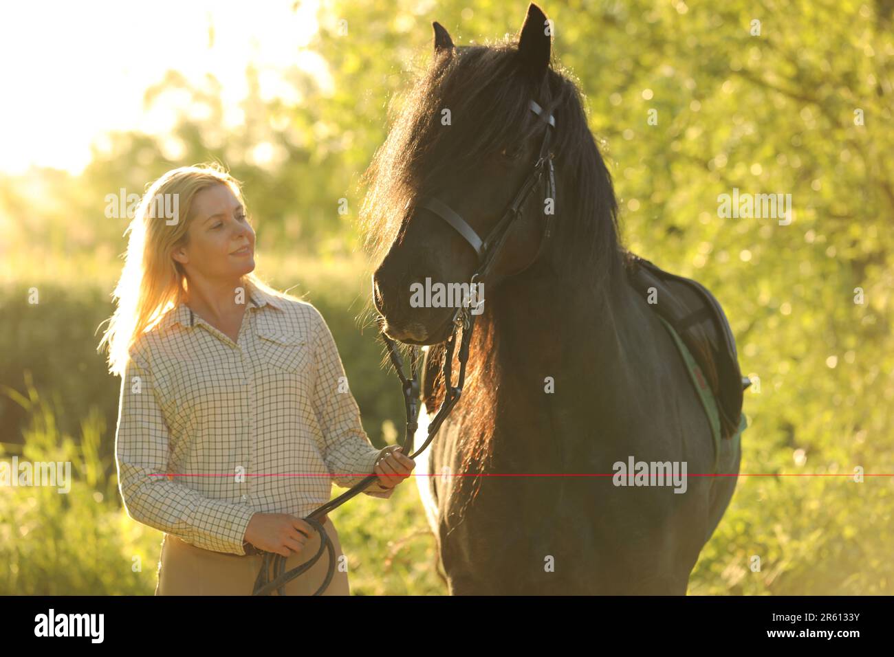 Una donna dai capelli biondi in piedi con un cavallo nero in una serata di sole Foto Stock