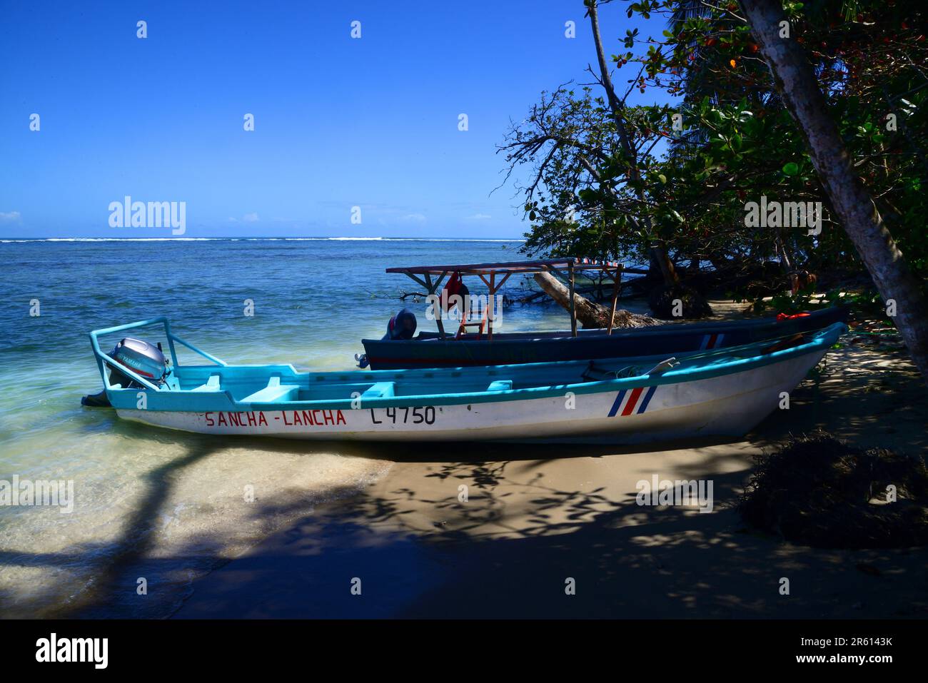 La foresta del Parco Nazionale di Cahuita, che domina il Mar dei Caraibi, Costa Rica. Foto Stock