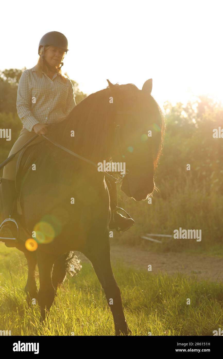 Una donna con capelli biondi in sella a un cavallo nero in una serata di sole Foto Stock