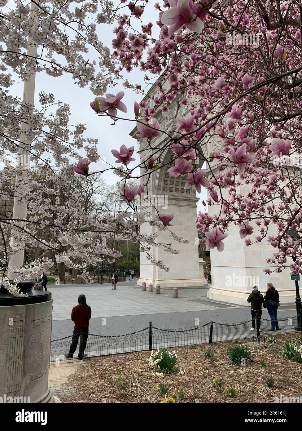 La gente gode di una giornata primaverile sotto il Washington Square Arch nel Greenwich Village di New York City, circondato da fiori di ciliegio Foto Stock