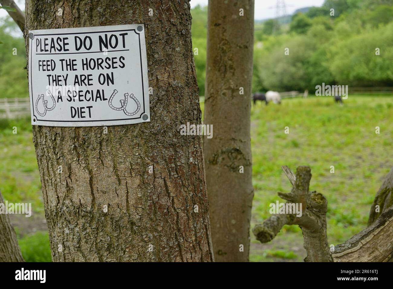 Una richiesta per le persone di non nutrire i cavalli in un campo a New Mills, Derbyshire Foto Stock
