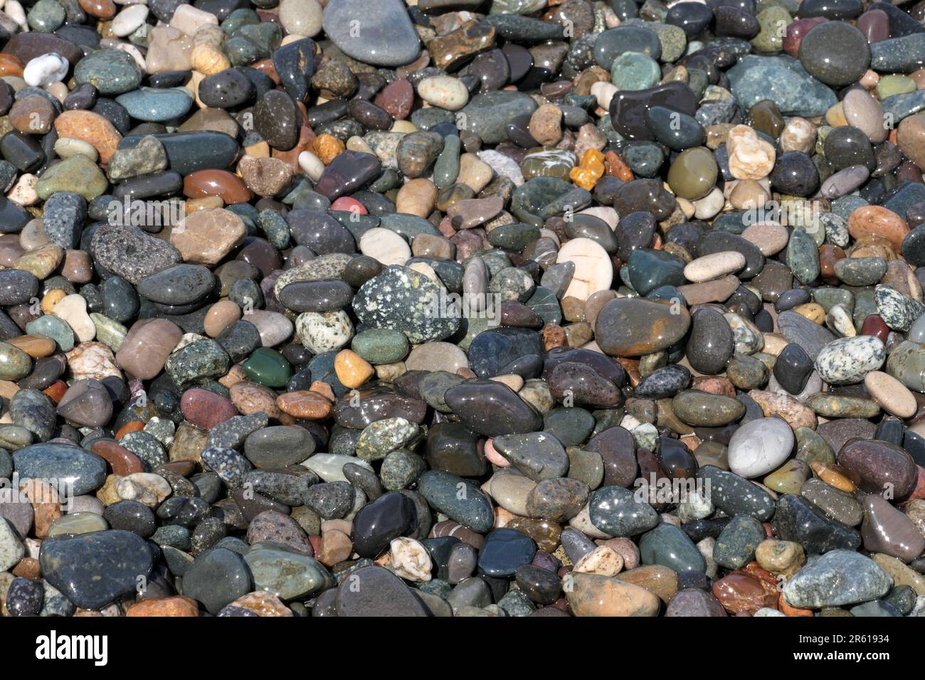 Bagnate dei piccoli ciottoli sulla spiaggia di Batumi Foto Stock