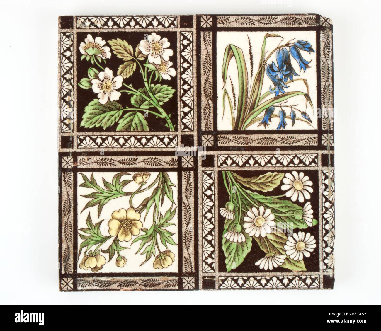 Antico 1890s vittoriano mano trasferimento colorato stampato piastrelle di ceramica fiore selvatico Foto Stock