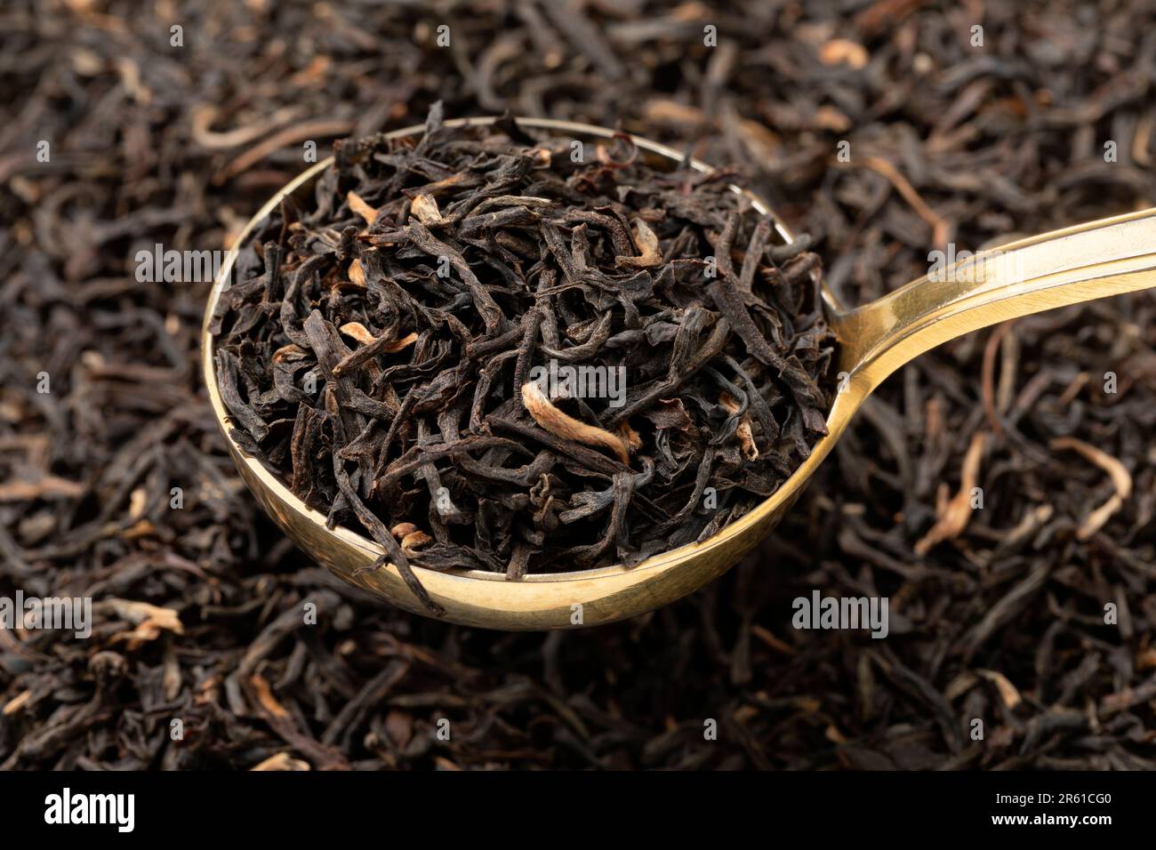 Cucchiaio di tè secco Nonapara Assam lascia la cornice completa primo piano come sfondo Foto Stock