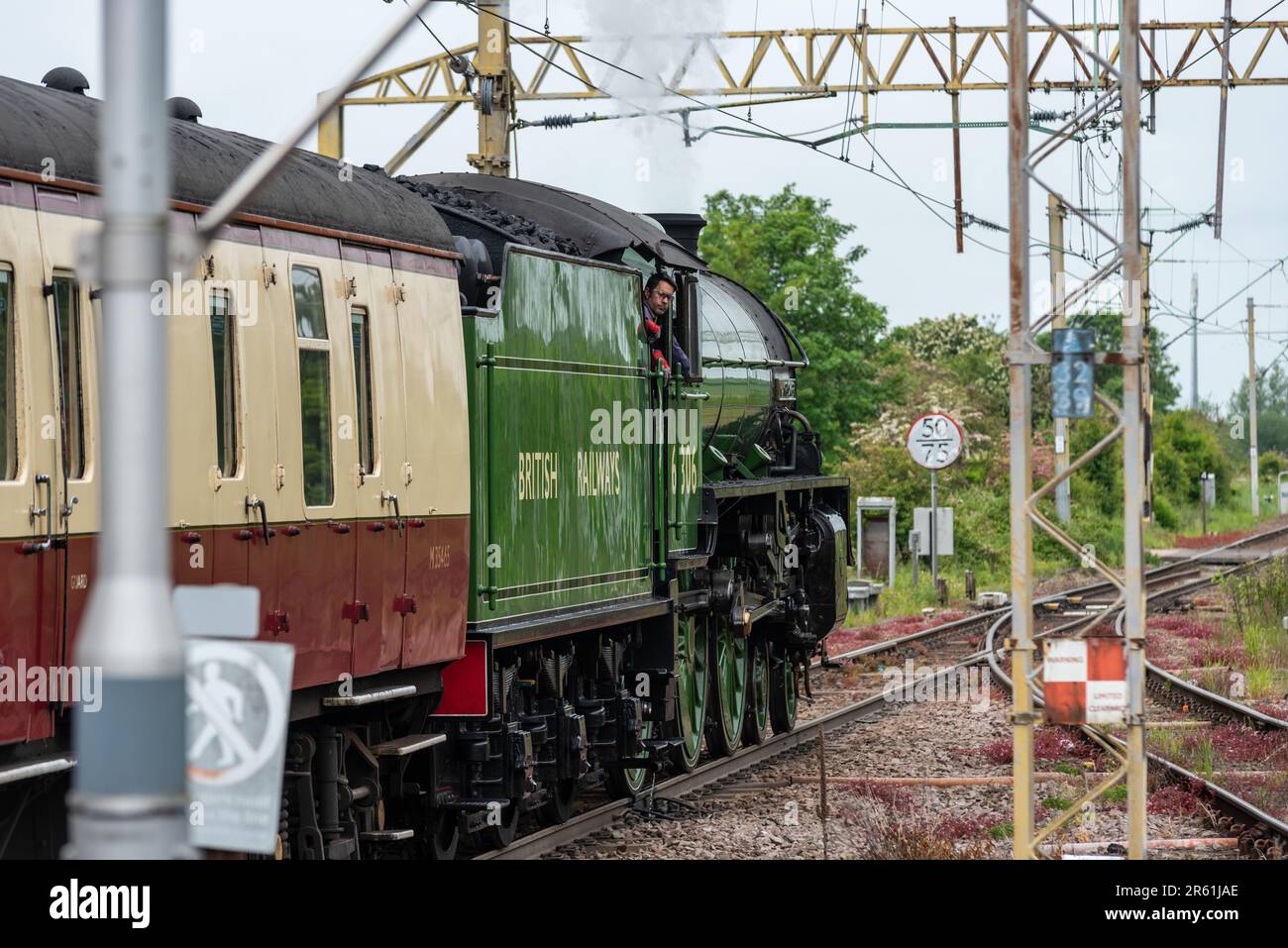 Locomotiva a vapore LNER B1 Classe 61306 Mayflower che trasporta un'escursione di Steam Dreams, che parte dalla stazione di Leigh on Sea Foto Stock