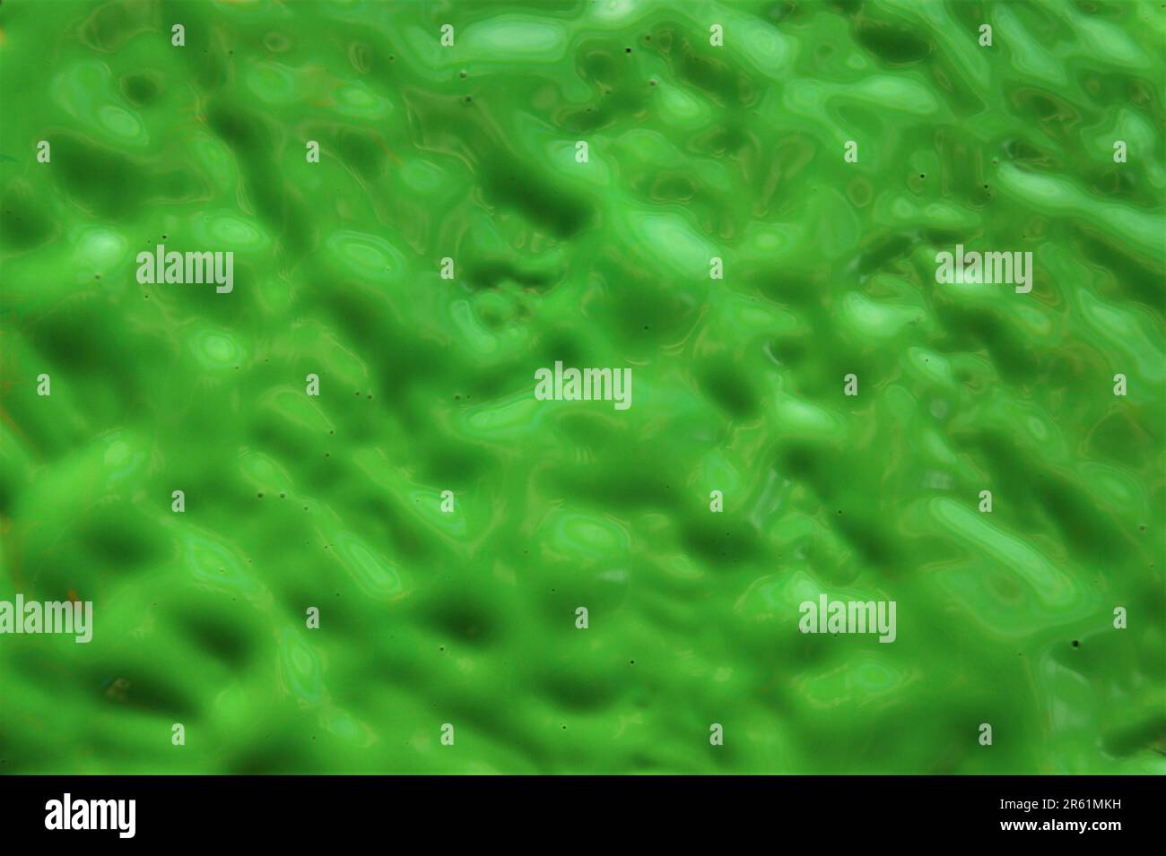 Verde astratto sfondo ruvido texture. Vernice bagnata. Foto Stock