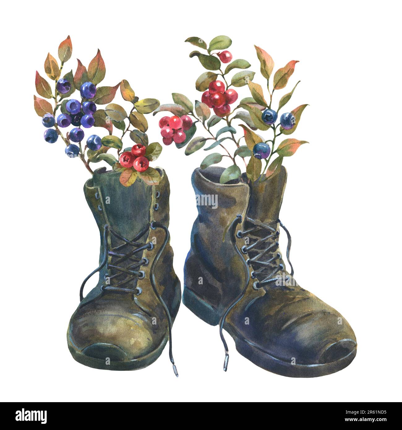 Scarpe da trekking con mirtilli selvatici e mirtilli. Disegno di un abito retrò per viaggi e avventure. Illustrazione di acquerello disegnata a mano di antico Foto Stock Scarpe da trekking con mirtilli selvatici e mirtilli. Disegno di un abito retrò per viaggi e avventure. Illustrazione di acquerello disegnata a mano di antico Foto Stock
