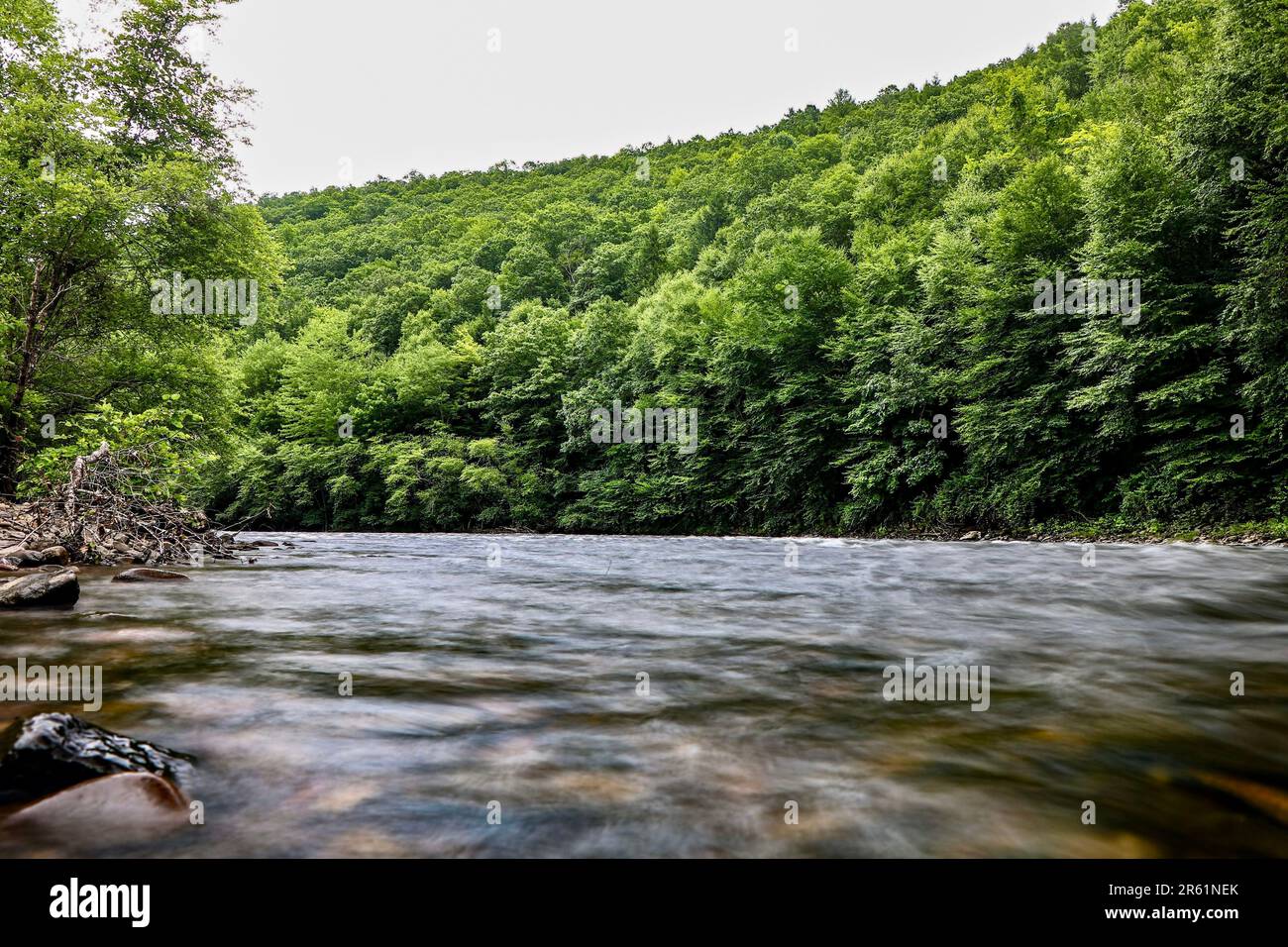 Una splendida vista di un tranquillo fiume circondato da foreste Foto Stock