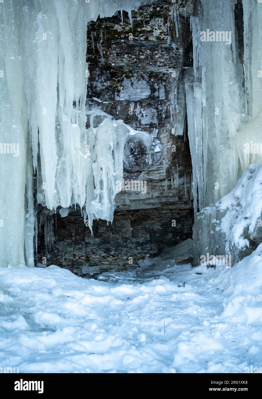 Un gruppo di grandi e scintillanti ciclicini disposti fianco a fianco su uno sfondo invernale Foto Stock