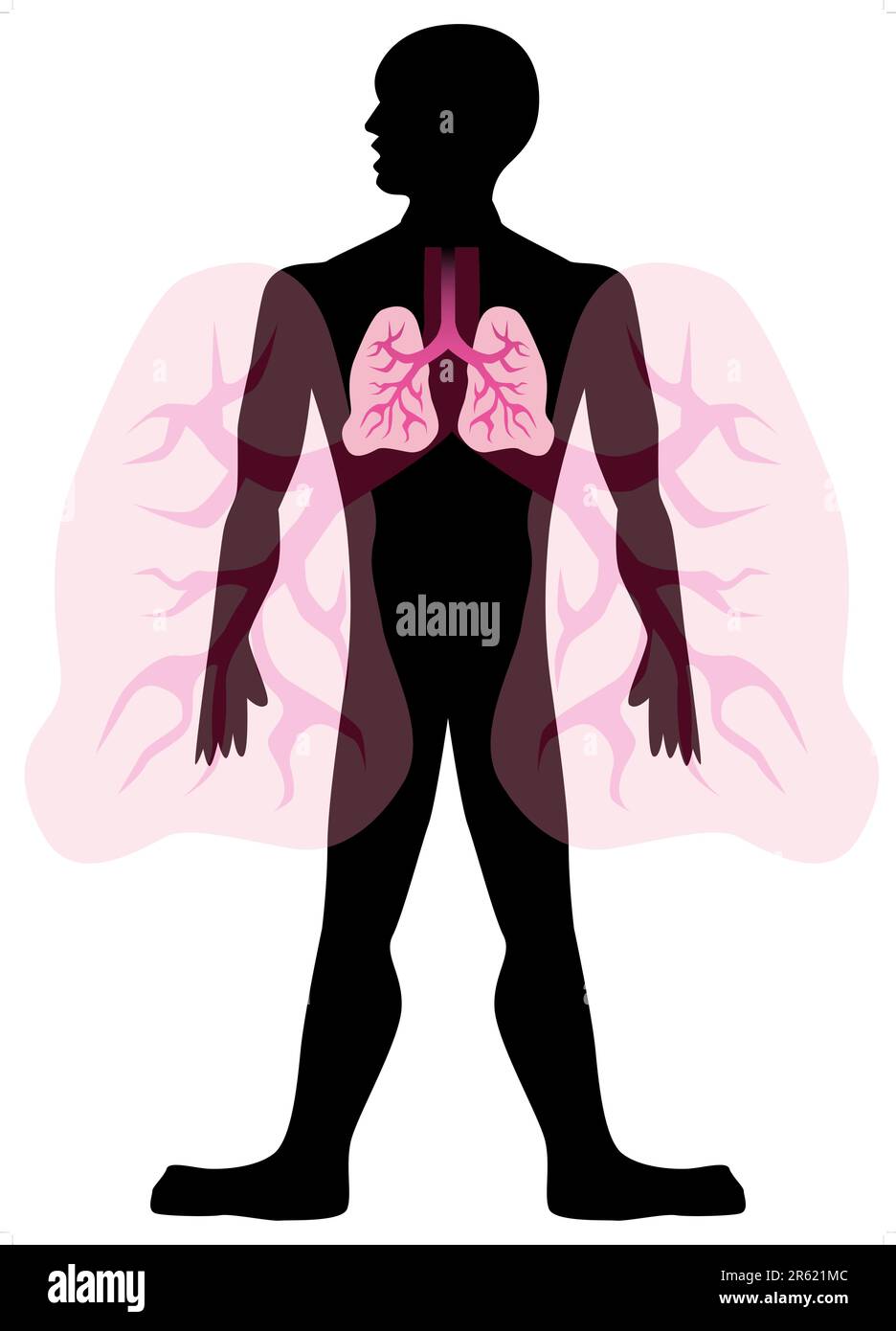 Uomo polmonare isolato su sfondo bianco. Illustrazione Vettoriale