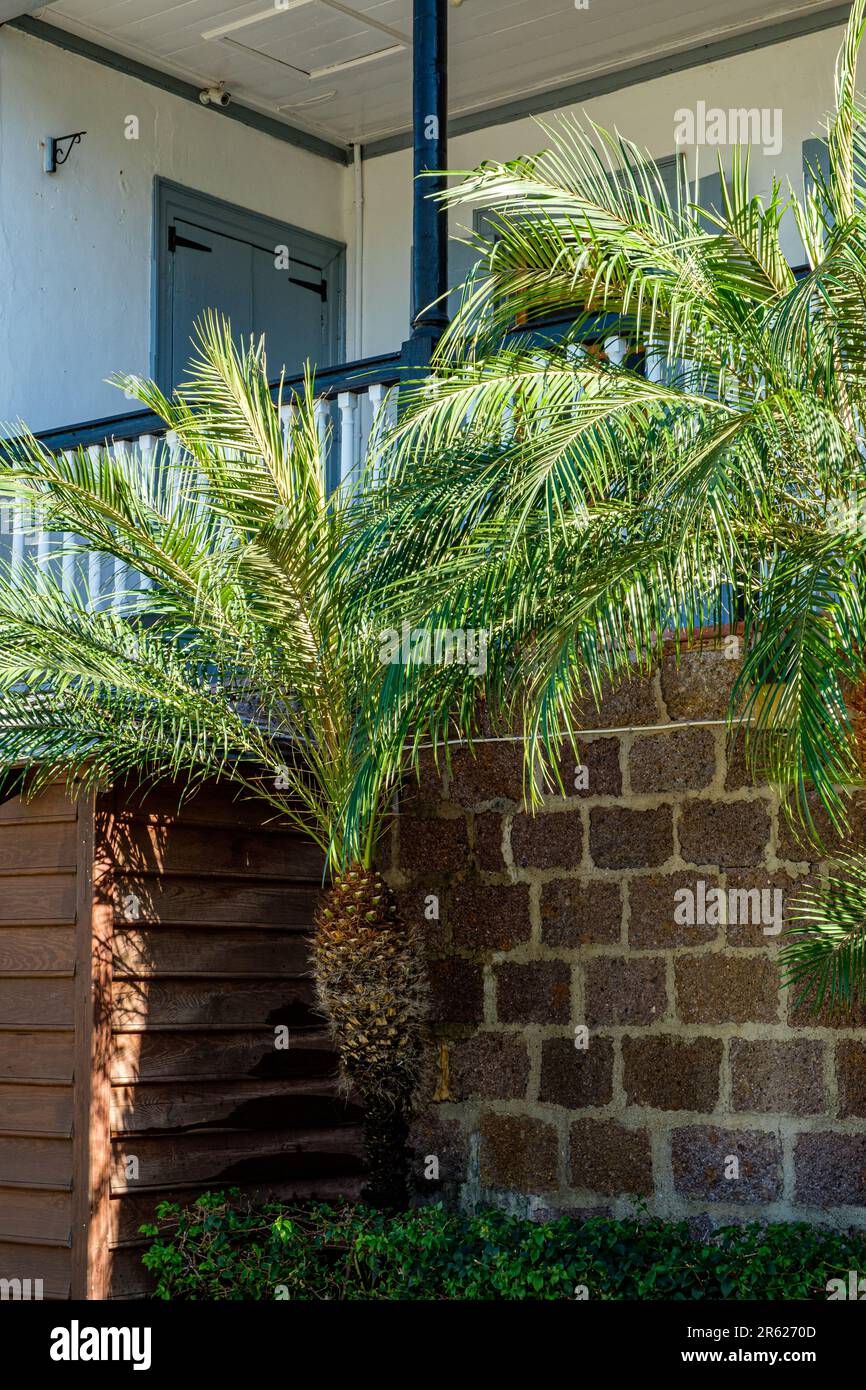 Ufficiale di quarti, Nelson's Dockyard, English Harbour, Antigua Foto Stock
