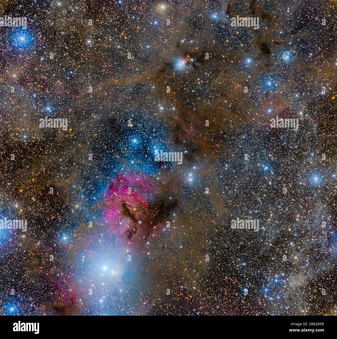 NUVOLA MOLECOLARE GIGANTE PERSEUS CON VIVAI STELLARI IC348 E NGC1333 Foto Stock