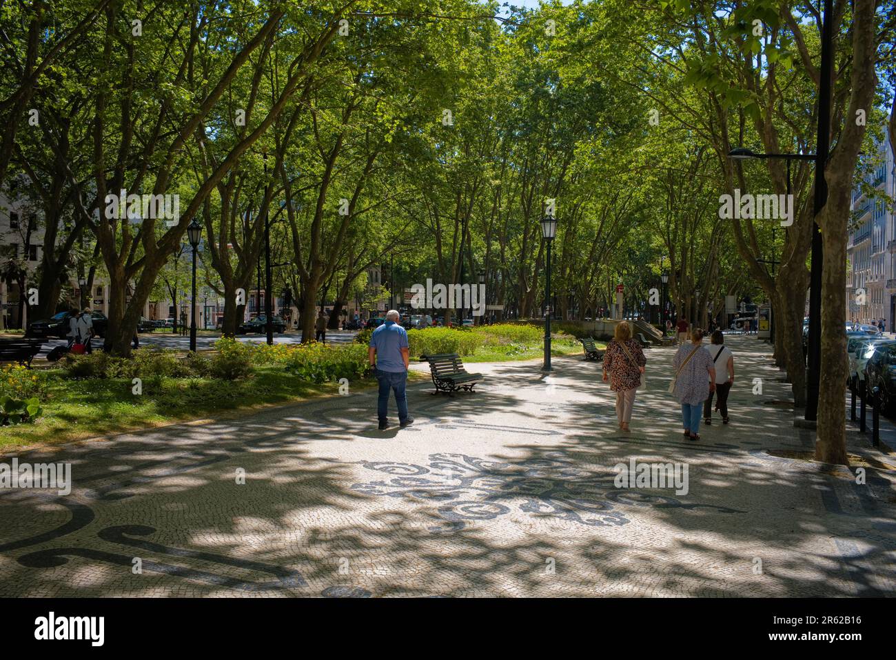 Avenida da Liberade ha una zona centrale verde ombreggiata con panchine e alberi alti Foto Stock