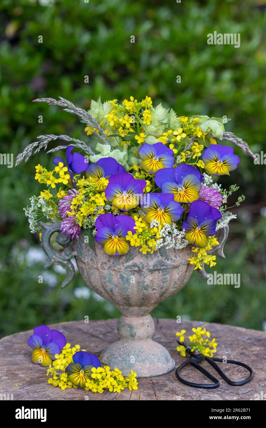 bouquet di fiori di viola, bedpaglierino giallo e fiori di prato in vaso d'annata Foto Stock