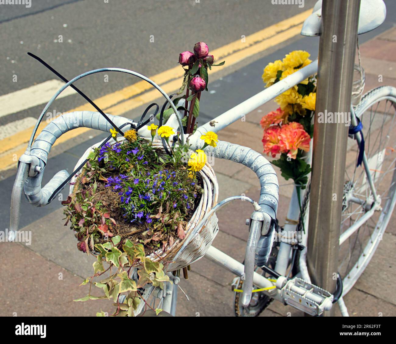 Bicicletta bianca commemorativa e fiori alla morte in bicicletta di Emma Newman, una ciclista di 22 anni di Parigi Foto Stock