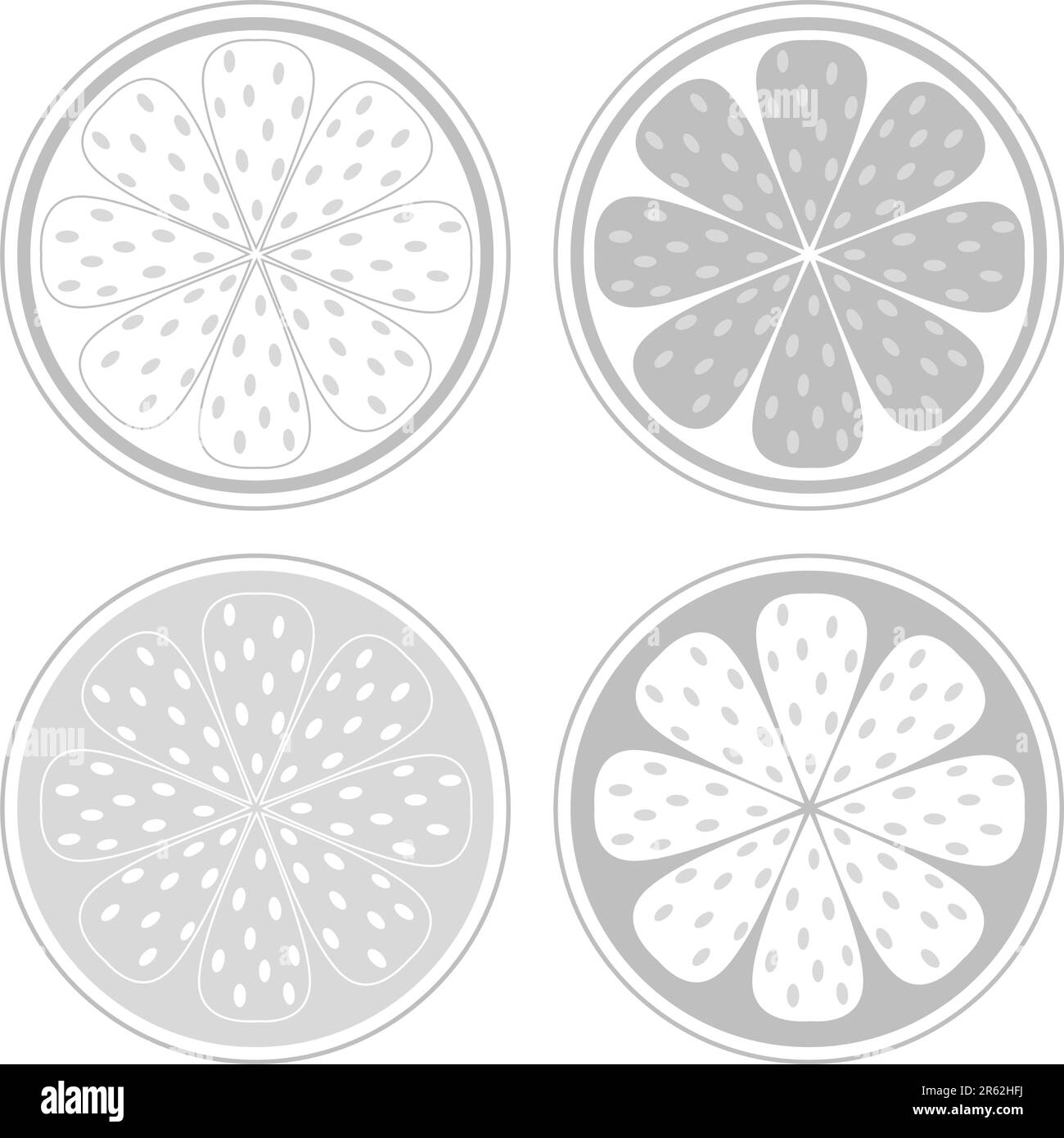 Sezioni di agrumi vettoriali stilizzate isolate su sfondo bianco. Elementi di design in bianco e nero. Dategli il vostro colore! Illustrazione Vettoriale