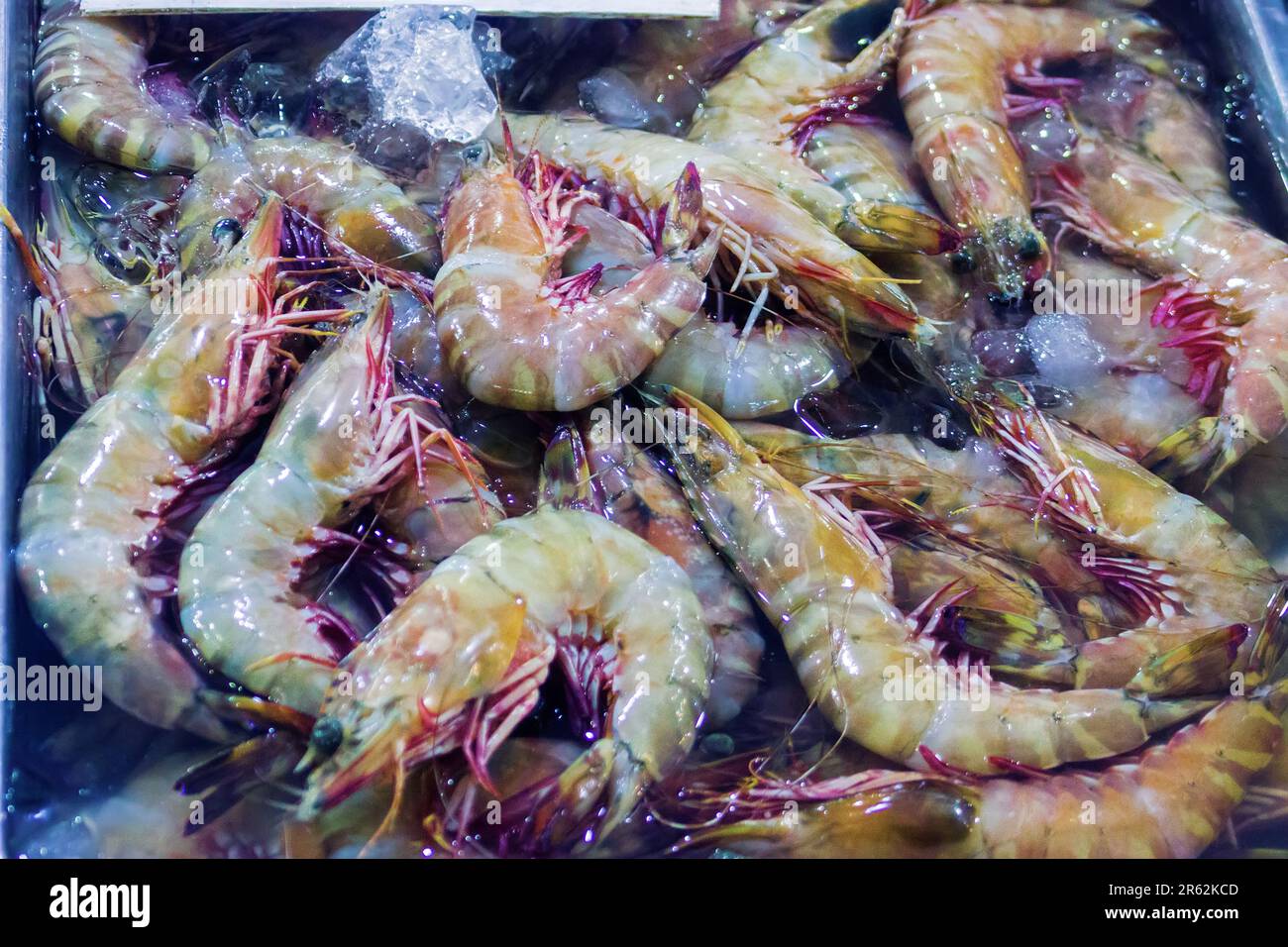 Regali del mare (gamberetti oceanici). Vari frutti di mare nei mercati del sud-est asiatico, i cosiddetti 'mercati umidi'. Thailandia Foto Stock