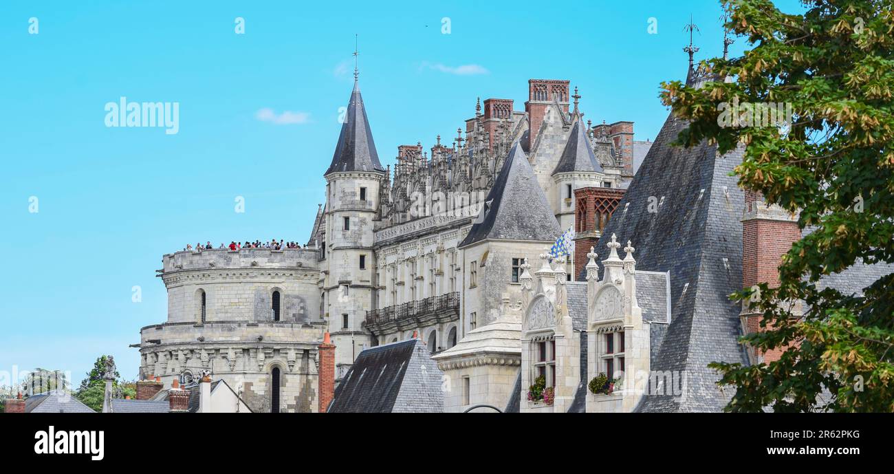 Una splendida vista panoramica sul castello e sul palazzo del 15th° secolo di Amboise, Francia, con la sua maestosa architettura e i lussureggianti dintorni verdi Foto Stock