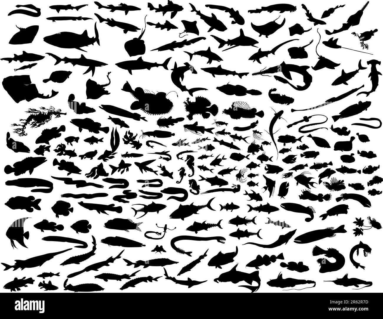 Grande raccolta di vettore di sagome di pesci diversi Illustrazione Vettoriale