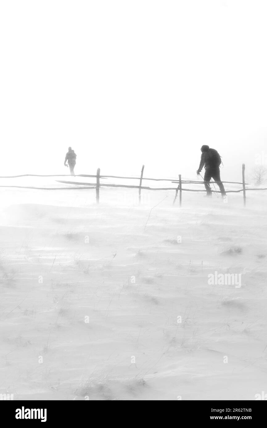 Uno sciatore felice che cammina attraverso un tranquillo paesaggio invernale lungo una recinzione in legno Foto Stock