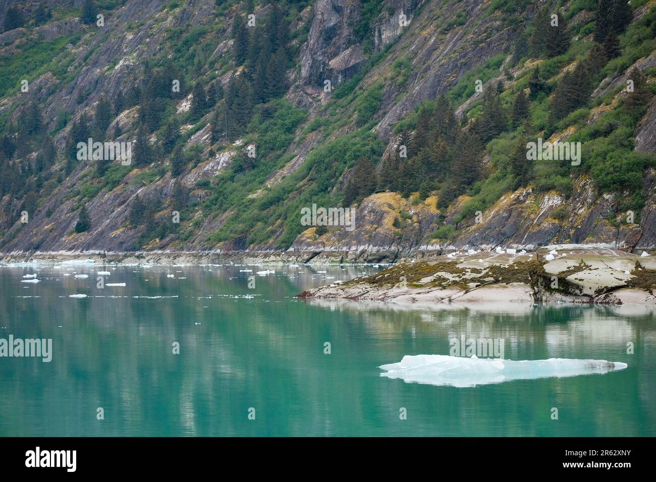 Profondo e fermo, acqua verde con ghiaccio sparso nel braccio di Endicott, Alaska, Stati Uniti Foto Stock