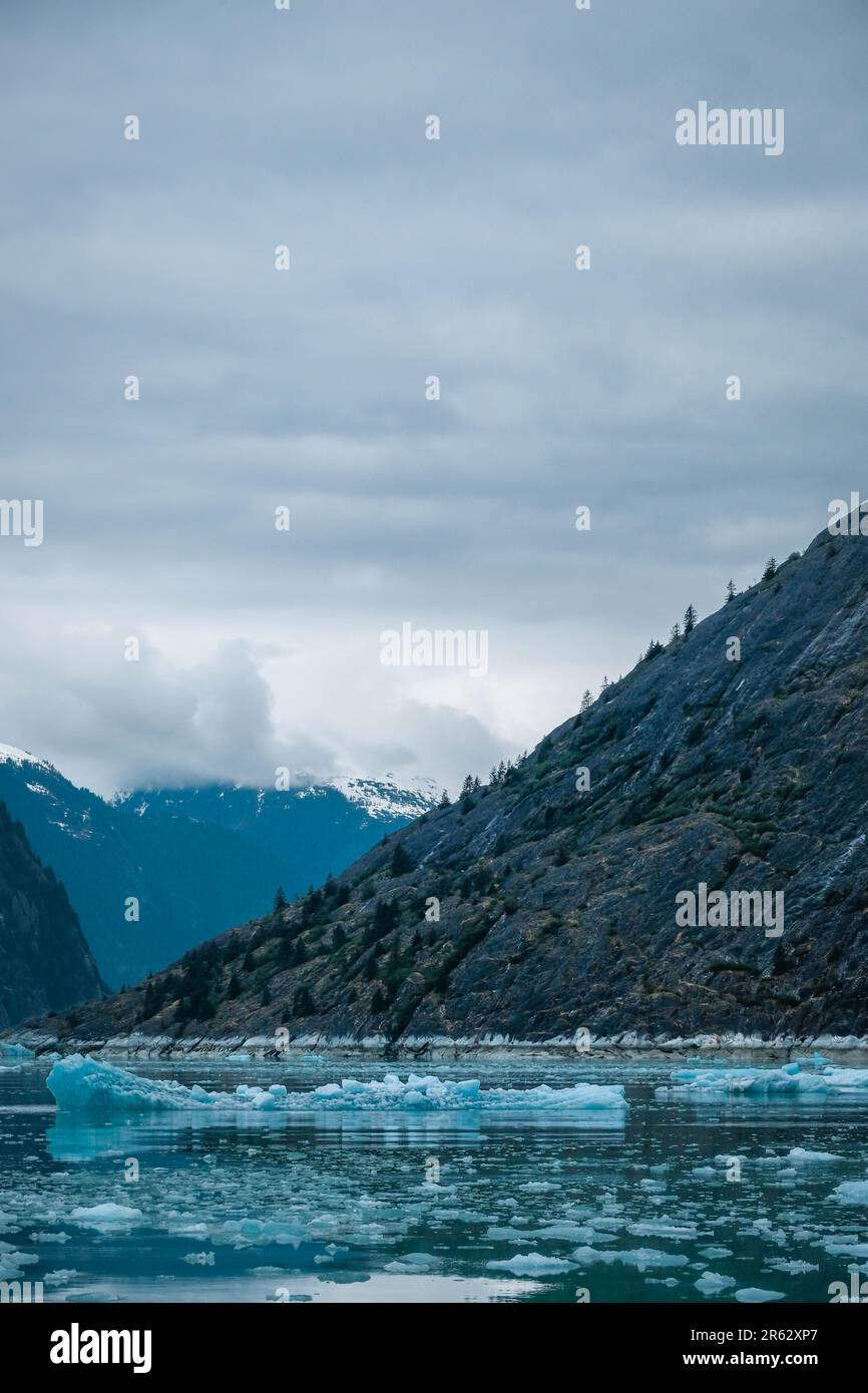 Galleggianti ghiacciati e colline desiderano basse nuvole a Endicott Arm, Alaska Foto Stock