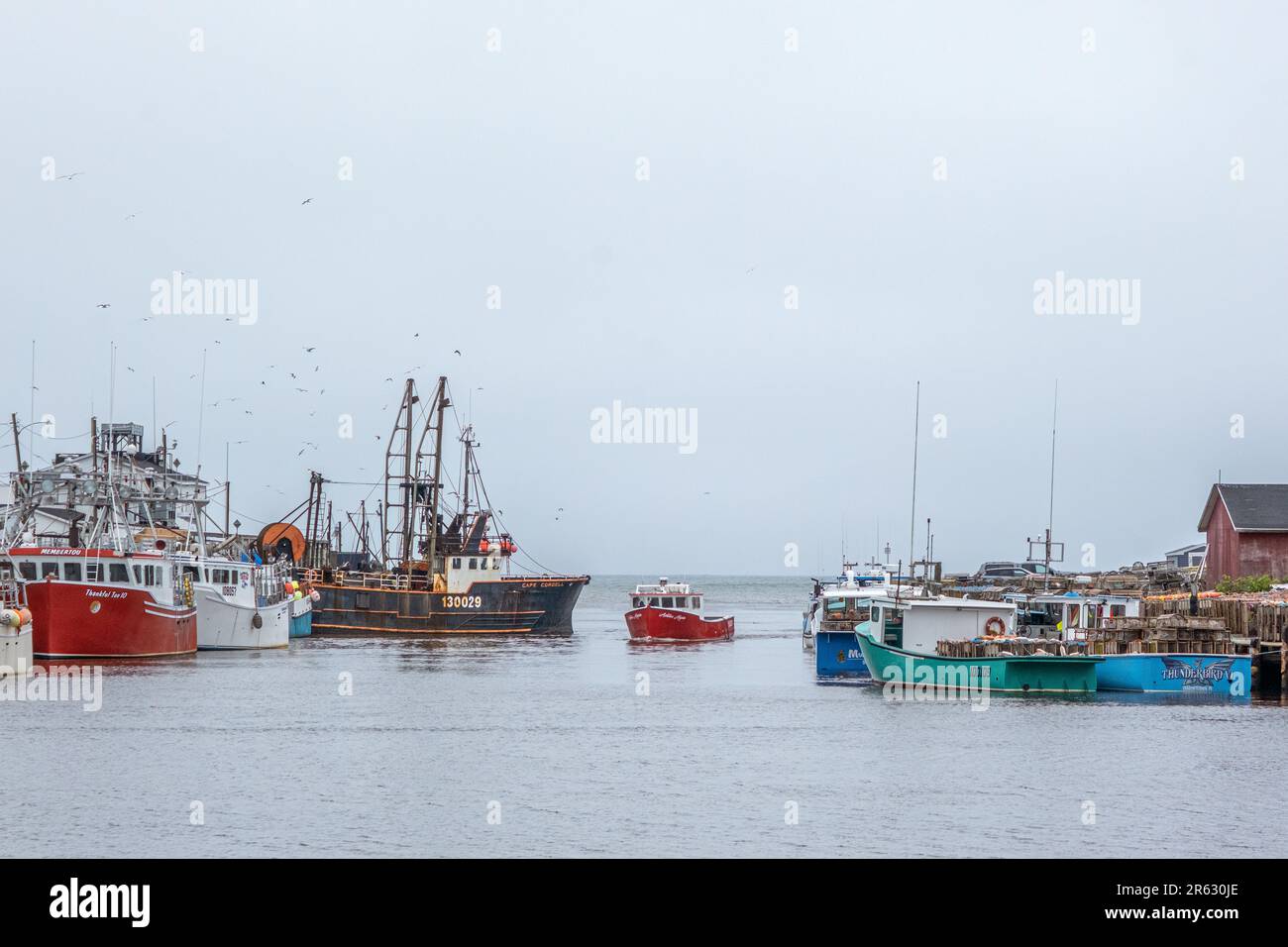 Una piccola imbarcazione per la pesca dell'aragosta entra nel porto di Glace Bay passando per le imbarcazioni più grandi in un'oscura giornata di primavera umida durante la stagione delle aragoste. Foto Stock