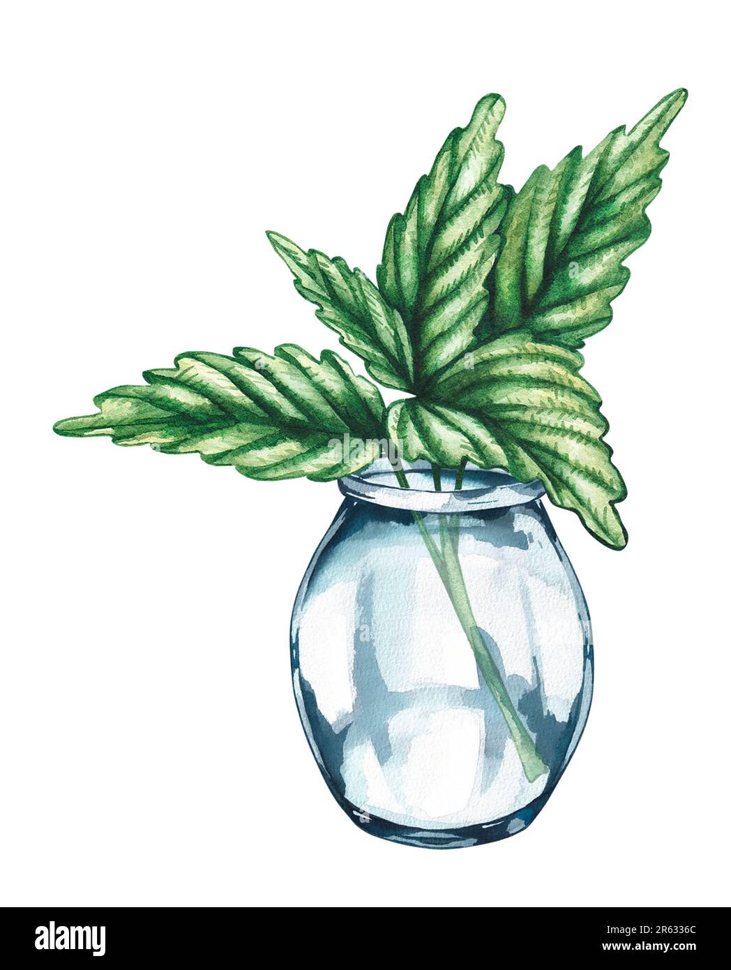 Menta acquerello in vaso di vetro. Menta isolata su bianco. Illustrazione Mint per schede di design, inviti, adesivi in tessuto, sfondi Foto Stock