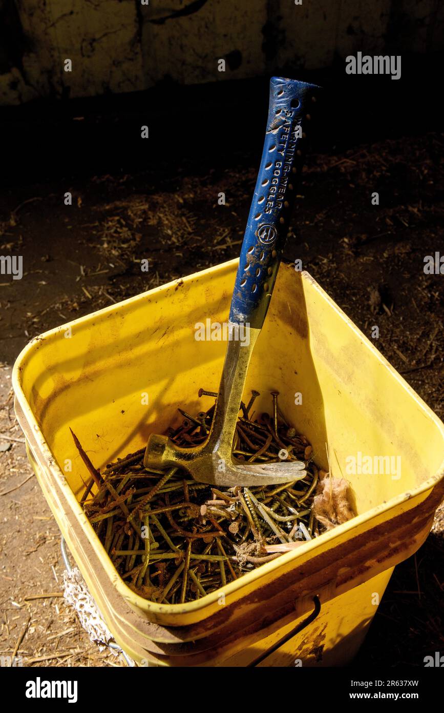 Progetto di demolizione con martello e chiodi. Portland, Oregon Foto Stock