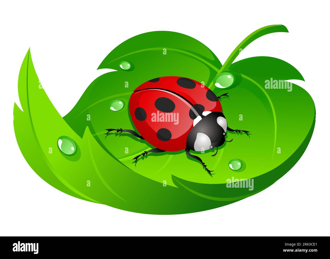 ladybug su bianco Illustrazione Vettoriale