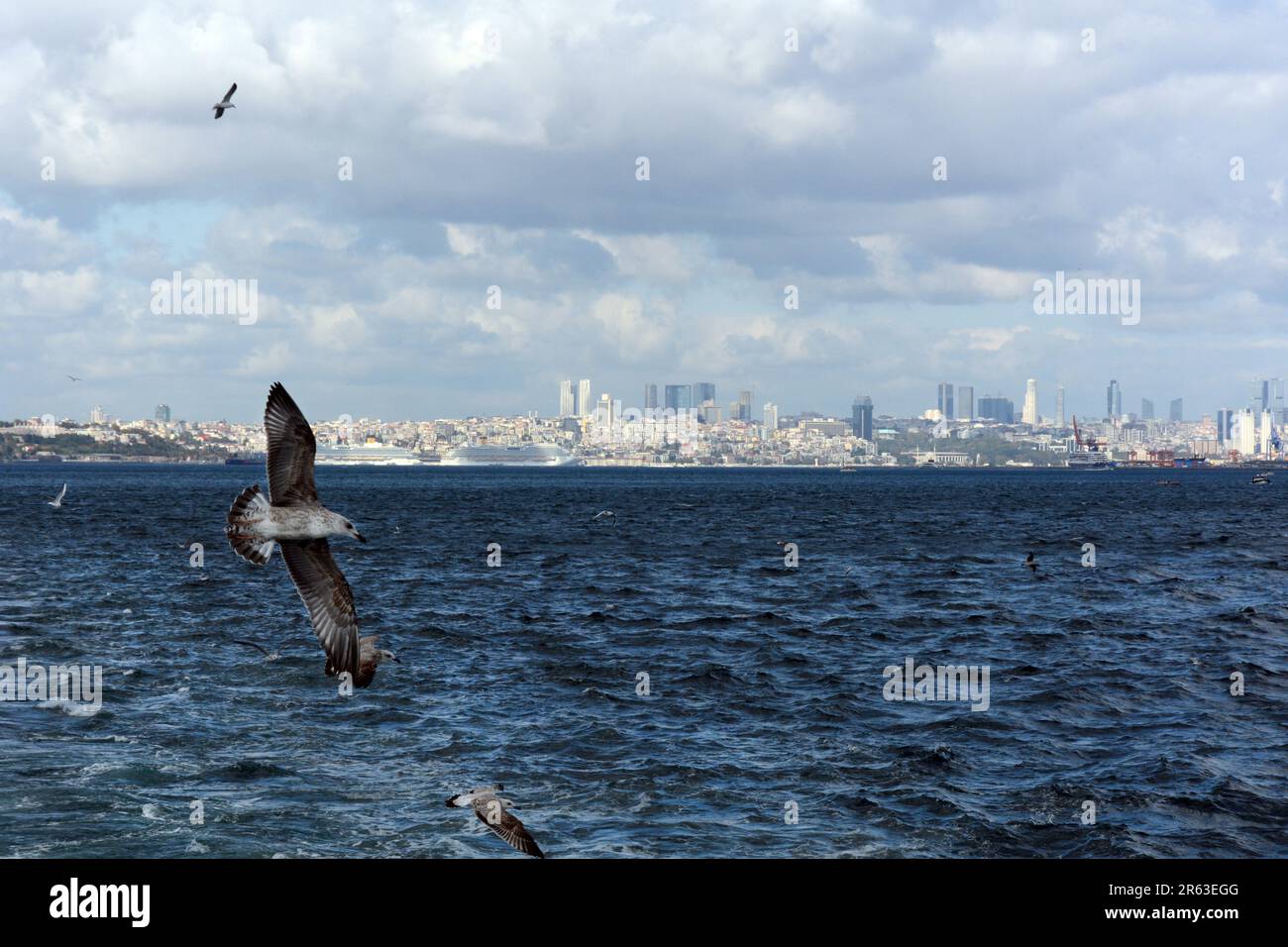 Gabbiani che volano dietro un traghetto passeggeri diretto in Asia nel Bosforo con lo skyline europeo di Istanbul sullo sfondo, Turkiye / Turchia. Foto Stock