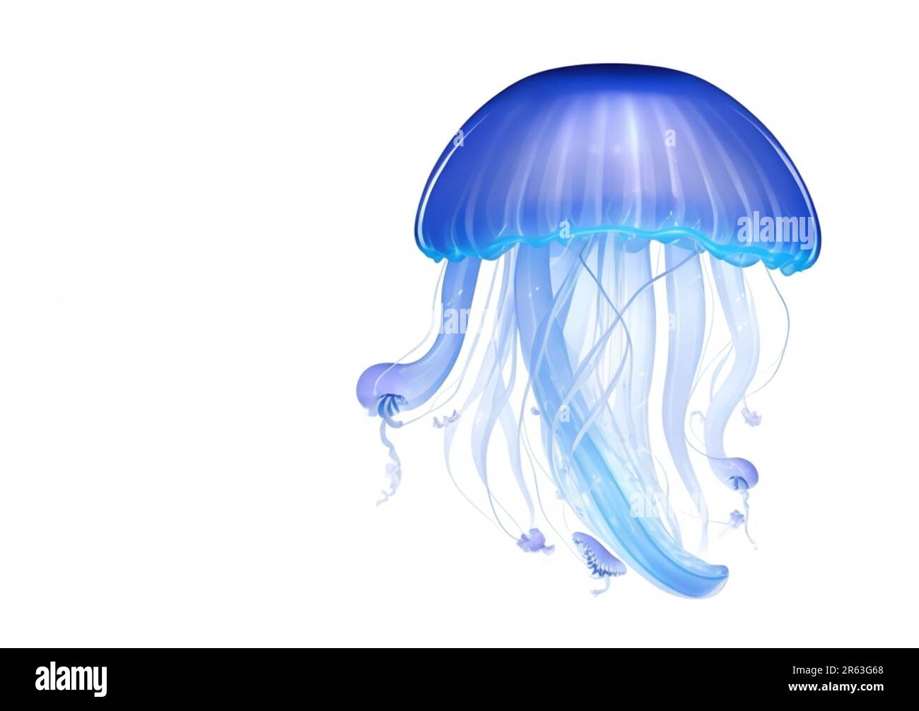 carino meduse stile cartone animato isolato su sfondo bianco Foto Stock