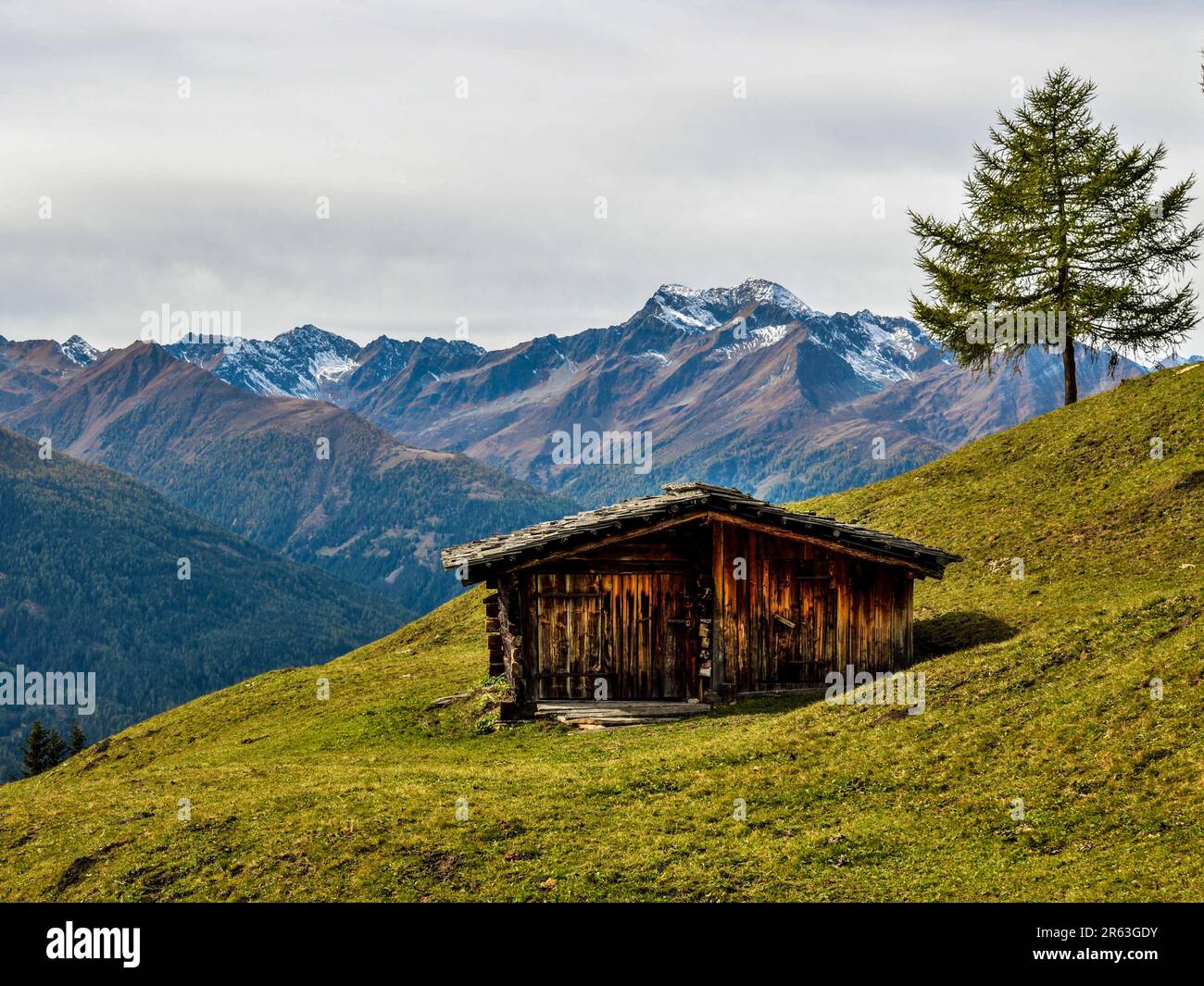 Capanna sul pascolo di montagna in autunno con il Lasoerling, Tirolo Orientale, Austria Foto Stock