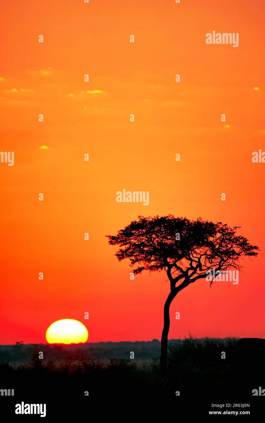 Alba nel kalahari centrale, Domenica Pan, Botswana, alba al kalahari centrale riserva di caccia, Botswana Foto Stock