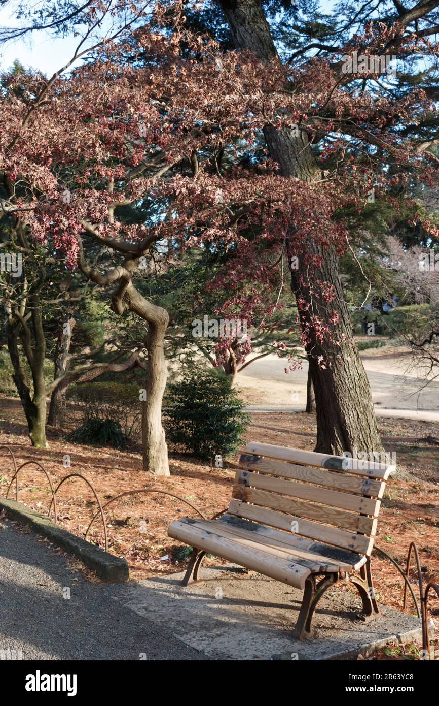 Panchina del parco vuota in un parco giapponese Foto Stock