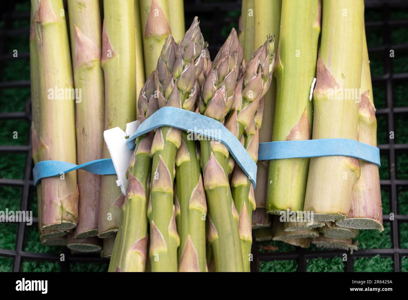 Immagine ravvicinata di asparagi freschi tagliati a mazzo Foto Stock