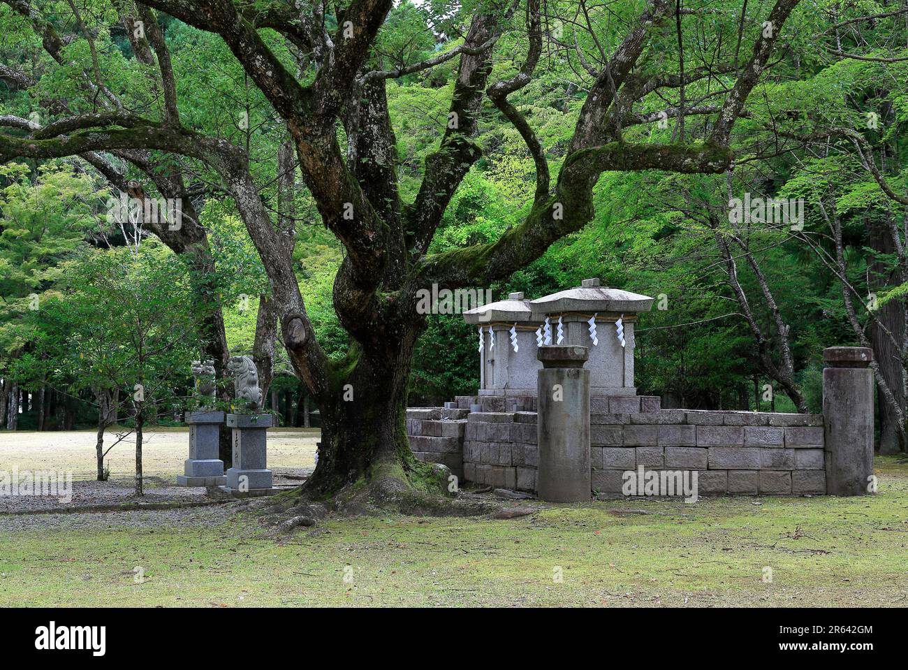 Hongu Taisha Oosaihara a Kumano Kodo Nakaheji Foto Stock