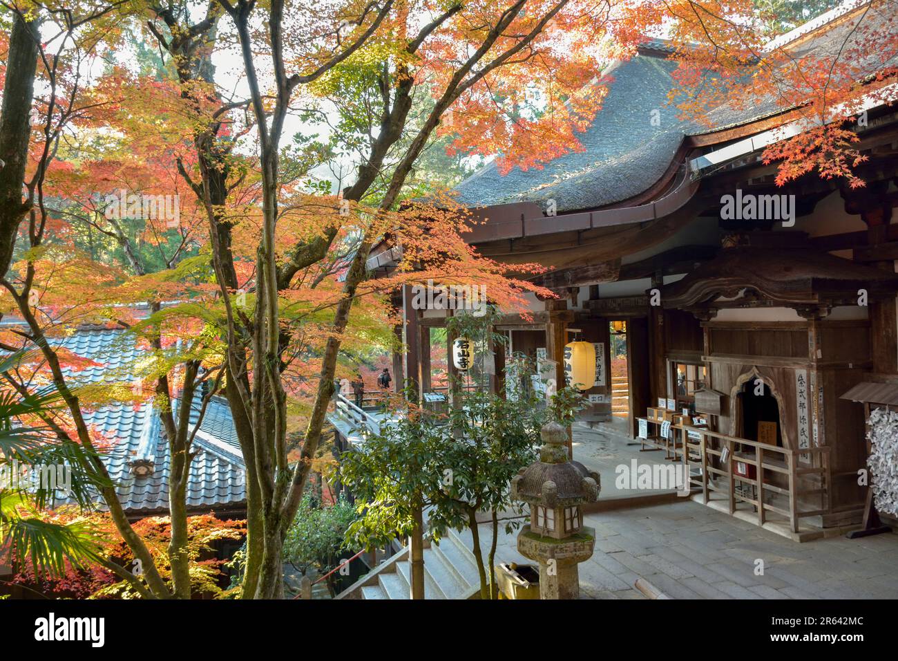Foglie autunnali e Tempio di Ishiyama-dera Sala principale Foto Stock