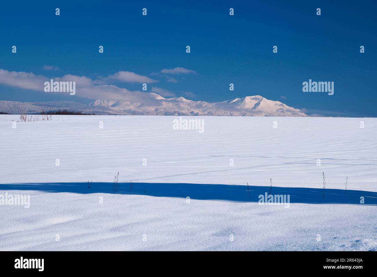 Mt. Taisetsu e campo di neve Foto Stock
